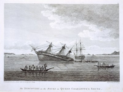 De ontdekking op de rotsen in Queen Charlotte